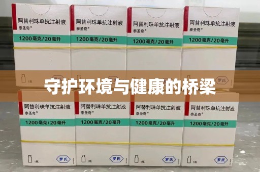 北京守护环境与健康的桥梁