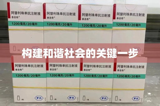 北京构建和谐社会的关键一步