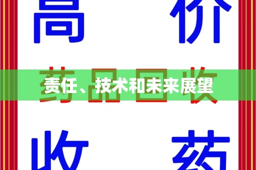北京责任、技术和未来展望