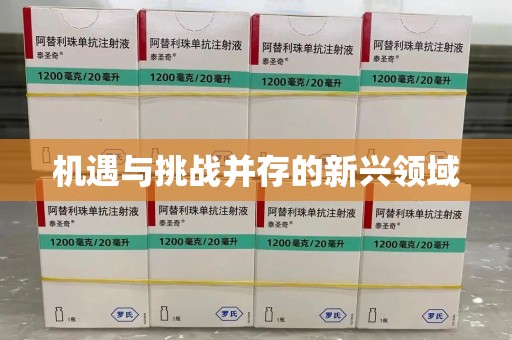 北京机遇与挑战并存的新兴领域