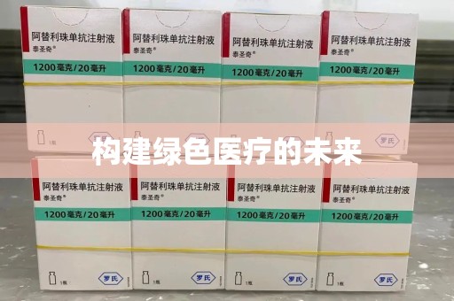 北京构建绿色医疗的未来