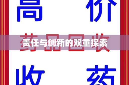 北京责任与创新的双重探索