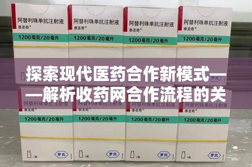 北京探索现代医药合作新模式——解析收药网合作流程的关键要素
