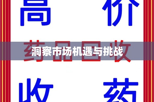 北京洞察市场机遇与挑战