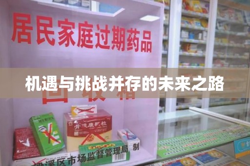 北京机遇与挑战并存的未来之路