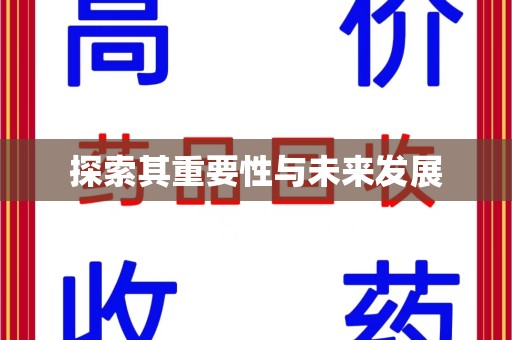 北京探索其重要性与未来发展