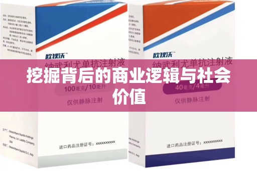 北京挖掘背后的商业逻辑与社会价值