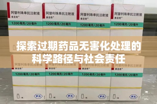 北京探索过期药品无害化处理的科学路径与社会责任