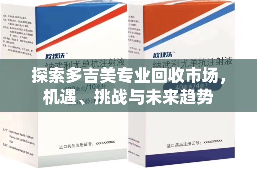 北京探索多吉美专业回收市场，机遇、挑战与未来趋势