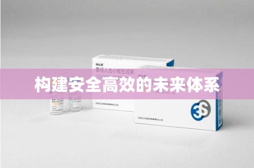 北京构建安全高效的未来体系