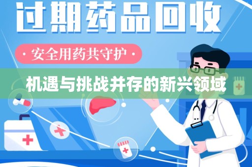 北京机遇与挑战并存的新兴领域