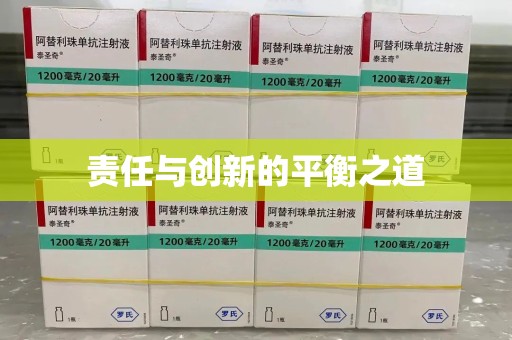 北京责任与创新的平衡之道