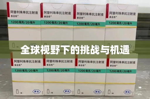 北京全球视野下的挑战与机遇