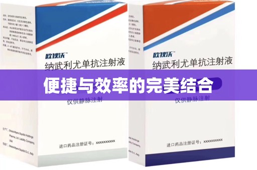 北京便捷与效率的完美结合