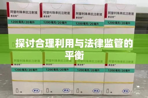 北京探讨合理利用与法律监管的平衡
