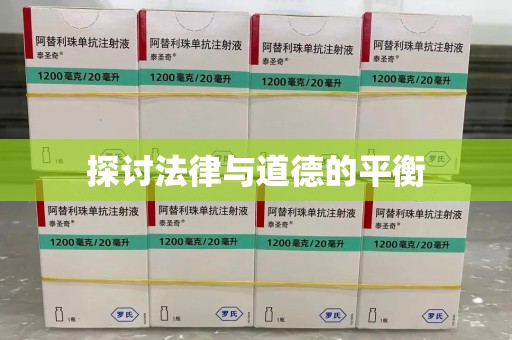 北京探讨法律与道德的平衡